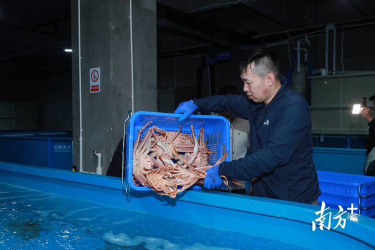 有效解决了企业仓储难题,也标志着大湾区水产品国际供应链的进一步